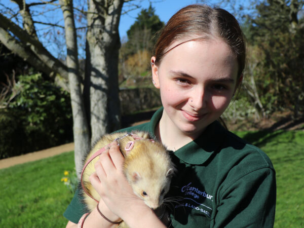 Animal management Mia Giles with a ferret