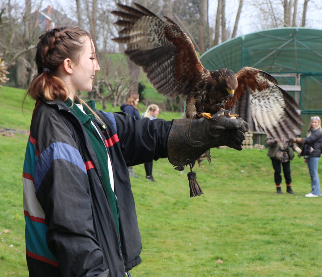 Animal management students with buzzard