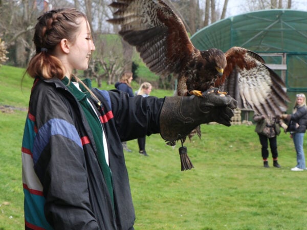 Animal management students with buzzard