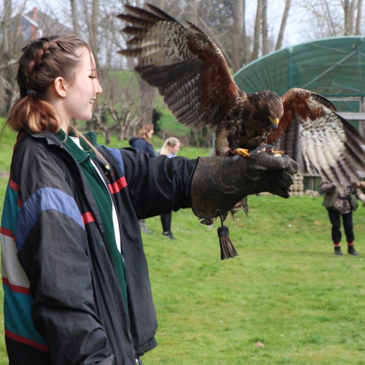 Animal management students with buzzard