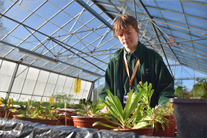 What Is Junior College Canterbury College what-is-junior-college-canterbury-college