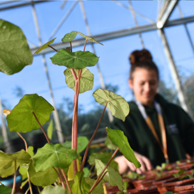 junior college at ekc canterbury college