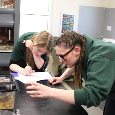 Students looking in a small container at a lizard