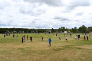 A field of people playing cricket