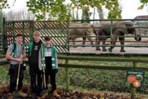 3 students holding rakes with an elephant enclosure in the background