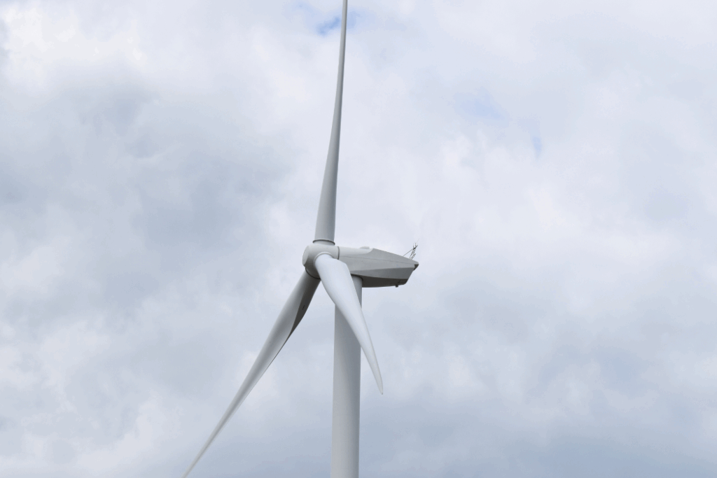 sheppey wind farm