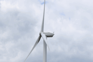 sheppey wind farm